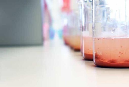 Le Processus de Floculation